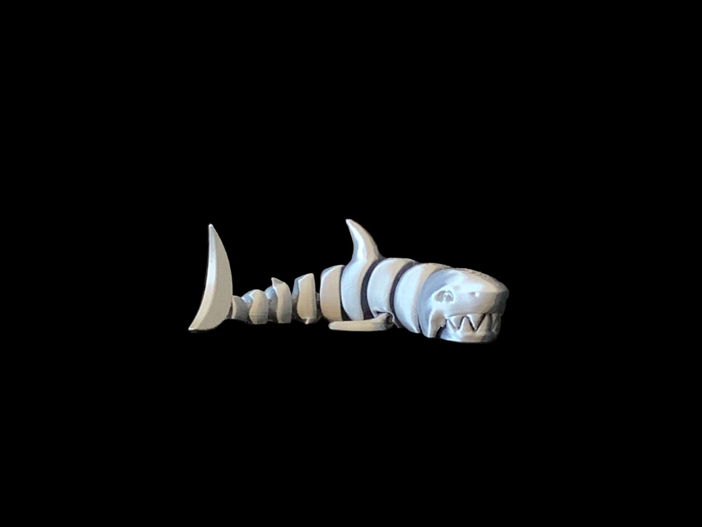 Shark
